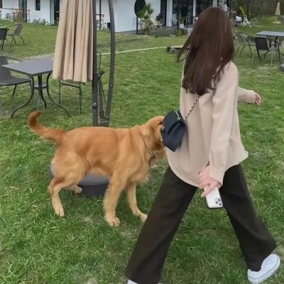 后现代罗摩衍那